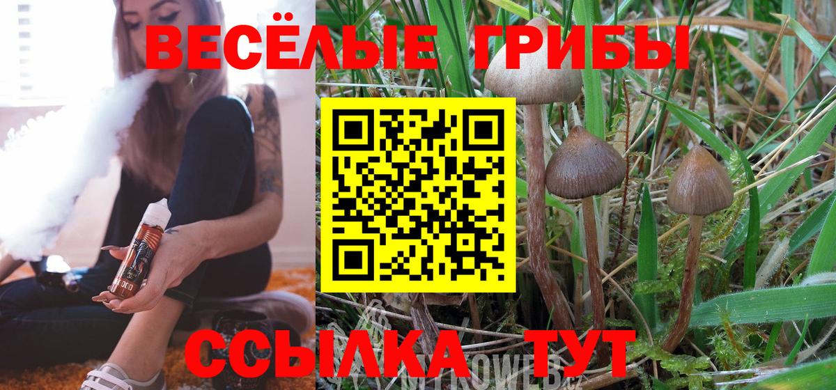 Псилоцибиновые грибы GOLDEN TEACHER  Вход с VPN  Азов 